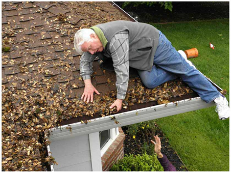 clean my gutters