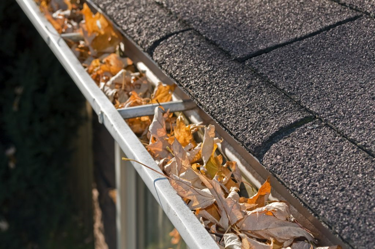 gutters are full of leaves