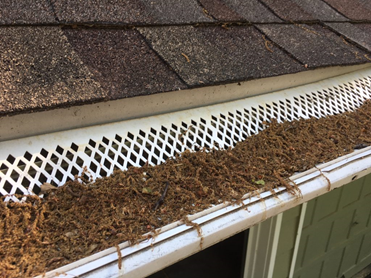 Gutter Screens