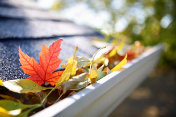 Late Fall Gutter Cleaning