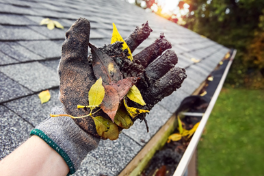 Late Spring Gutter Cleaning