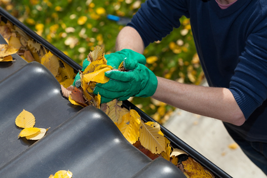 Summer Gutter Cleaning Summer Gutter Cleaning