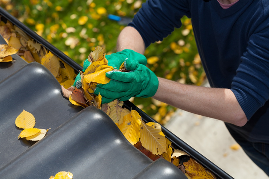 Summer Gutter Cleaning