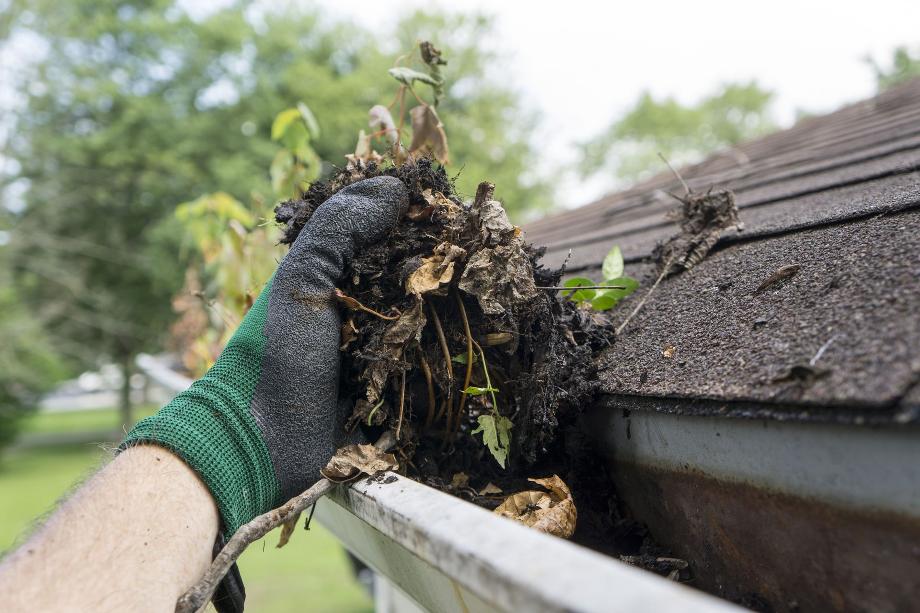 Gutter Cleaning Protects Homes from Damages